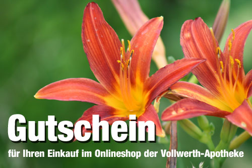 gutscheinM1ozEi8fCa1m7 Gutscheinkarte 50 EUR