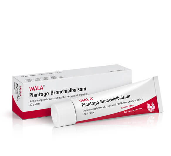 PlantagoBronchialbalsam Plantago Bronchialbalsam
