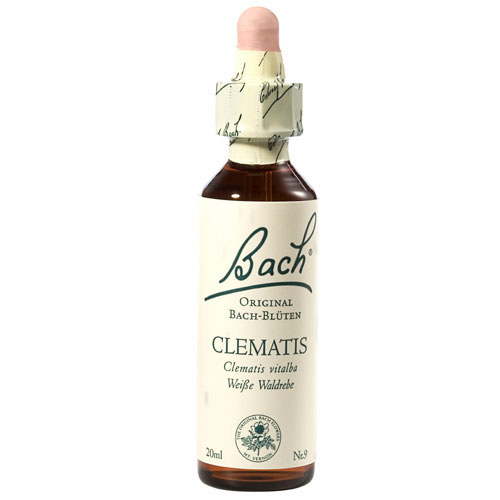 0053249 BACH®-BLÜTE CLEMATIS (Weiße Waldrebe)