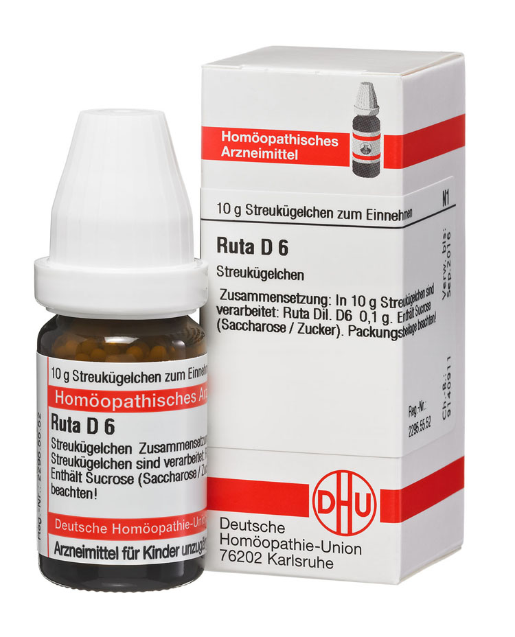 2890067-ruta-d6 RUTA D 6