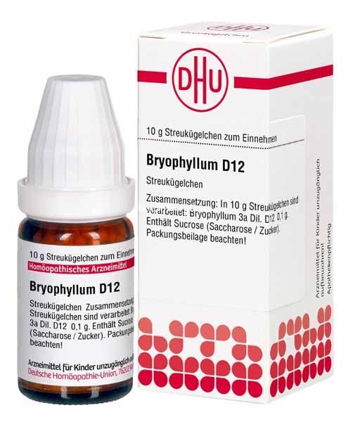 Bryophyllum-D12 Bryophyllum D12