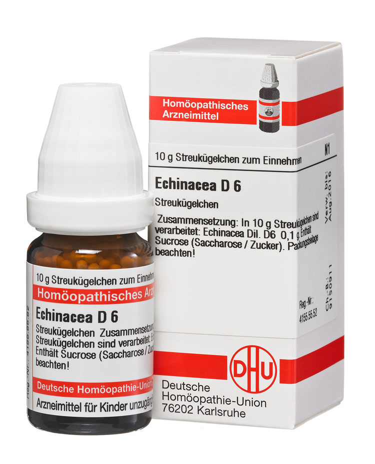 2890630-echinacea-d6 ECHINACEA HAB D 6