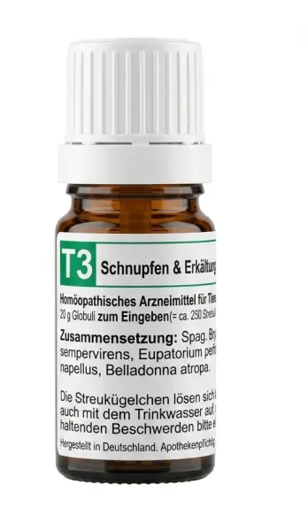 T3 Schnupfen und Erkältung