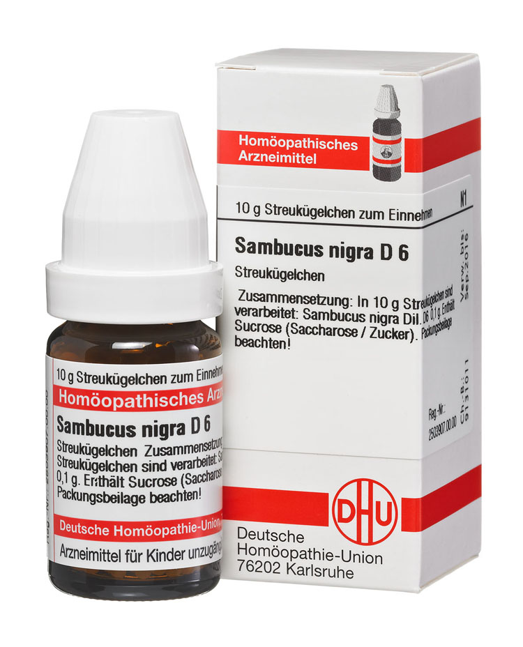 2890162-sambucus-nigra-d6